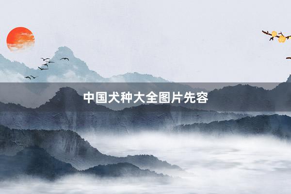 中国犬种大全图片先容