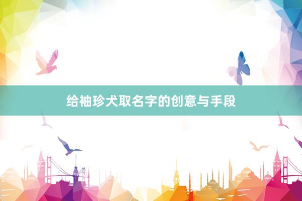 给袖珍犬取名字的创意与手段
