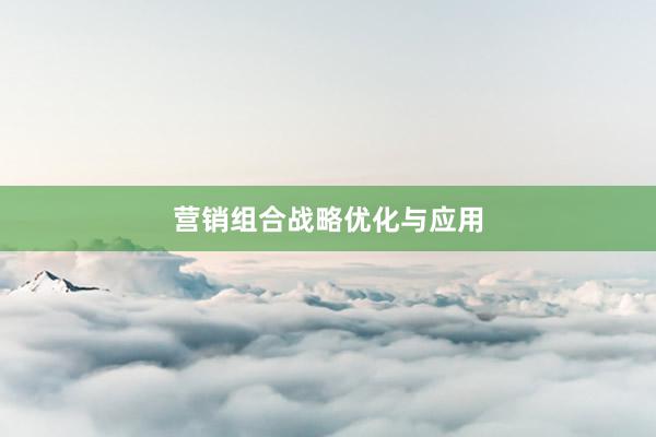 营销组合战略优化与应用